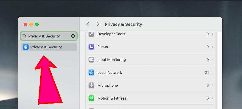 Privacy and Security Settings Screenshot