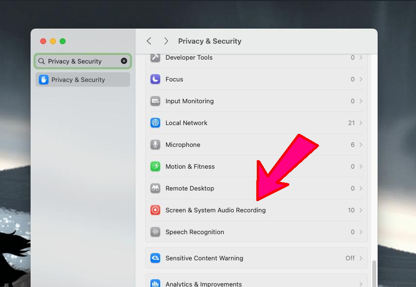 Screen and System Audio Recording Screenshot